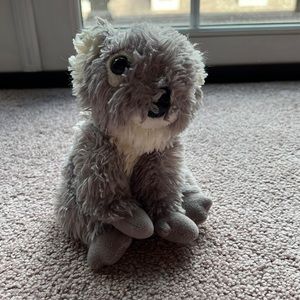 Koala from a trip to the zoo